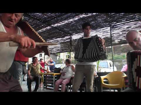 CANA VERDE EN VILANOVA DE MUIA 27/8/2018