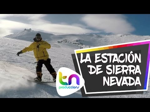 Vídeo: Invierno En El Bosque: Un Pelaje Gris En El Campo De Sierra Nevada Y En Vidas Excelentemente Vividas - Matador Network