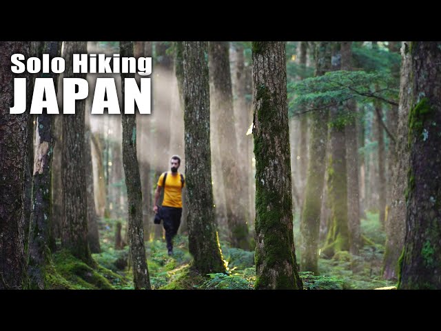 Inside Japan's FOREST OF MONONOKE - [Solo Hike 4K] - YouTube