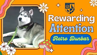 Adult Dog Training - Rewarding Attention - Retro Dunbar by Dunbar Academy 315 views 2 months ago 5 minutes, 1 second