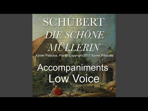 Regardez Die schöne Müllerin, D. 795: No. 8, Morgengrüss in A-Flat Major sur YouTube