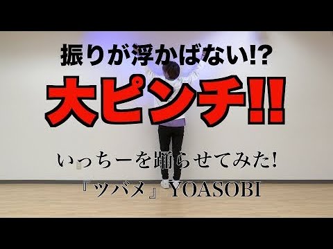 大ピンチ!!いっちーを踊らせてみた『ツバメ』YOASOBI編