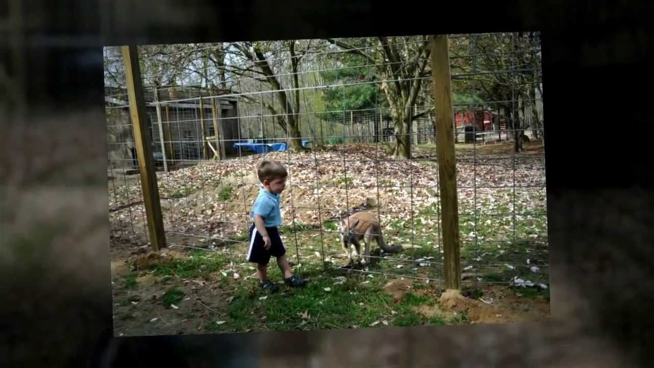 Josh at Work Horse Farm