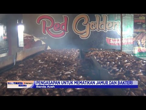 Cara Membuat Pisang Sale Khas Aceh