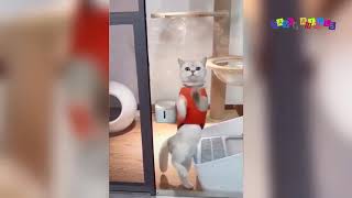 Просто приколы с котанами. Переполох в ванной. Просто приколы с котанами. Переполох в ванной.