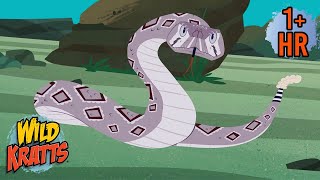 BE CAREFUL, IT'S POISONOUS | Snakes and More Poisonous Animals | Wild Kratts | 9 Story Kids