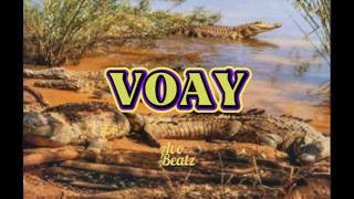 Salegy 2026 Folaka ' VOAY ' prod by Avo'nthaBeatz