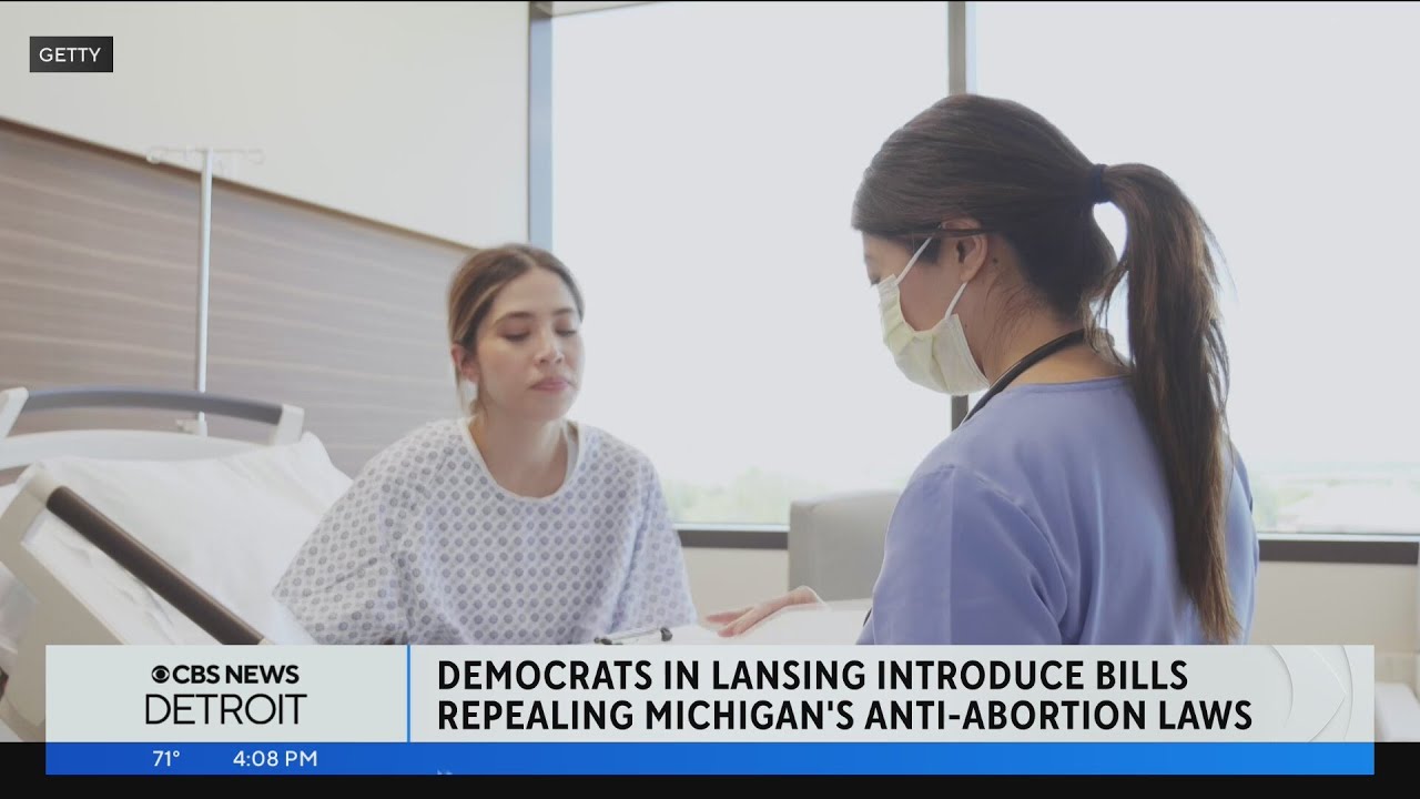 Michigan Democrats introduce bills repealing state's anti-abortion laws