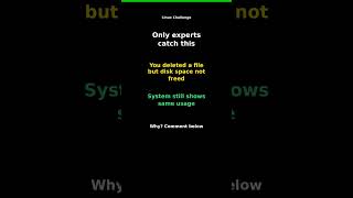 Linux Challenge: Disk Space Not Freed