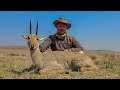 Hunting the elusive grey rhebuck walkandstalk in south africa rhebuck snitzels