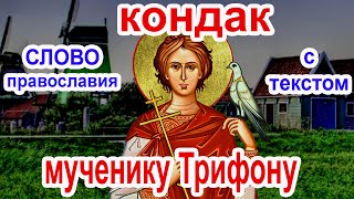 Кондак святому мученику Трифону аудио молитва с текстом и иконами