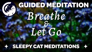 'Breathe & Let Go' -  Dissolve Anxiety and Find Peace (10-Minute Guided Meditation)