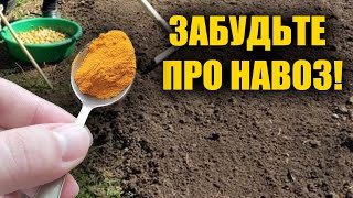 1 Ложку На Ведро Воды И Земля Как Новая, Пролейте Этим Землю Для Обильного Урожая Всего Что Захочешь