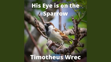 His Eye Is on the Sparrow