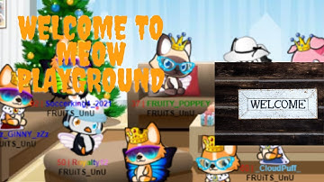 Meow playground tutorial for beginners
