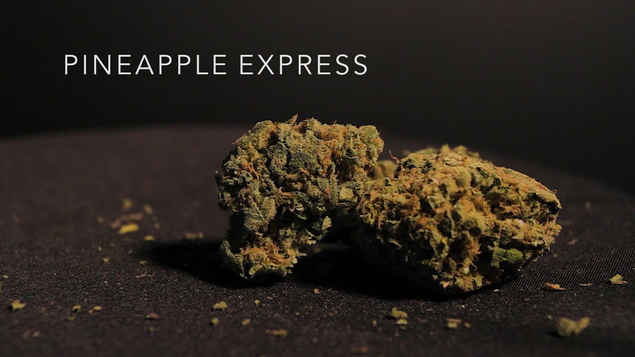 Pineapple Express Strain Review Nightly Bud YouTube