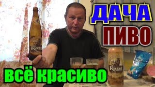Пью ПИВО "Velkopopovicky Kozel" на ДАЧЕ с утреца... Пью ПИВО "Velkopopovicky Kozel" на ДАЧЕ с утреца...