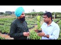 ड्रैगन फ्रूट से लाखों कमाने की पूरी जानकारी  Dragon Fruit Farming in India 7702220145