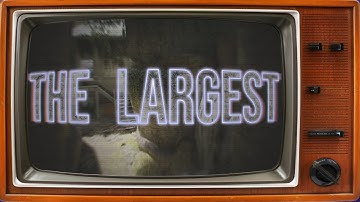 The Largest - Sniper Montage | Bullet Force PC