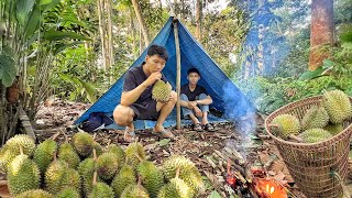 BERMALAM DIHUTAN MENJAGA DURIAN DIGUYUR HUJAN DERAS SEMALAMAN