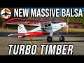 First impressions eflite turbo timber sws 20m  setup guide