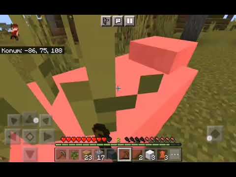 Minecraftta sehir yapiyoruz 1.bölüm
