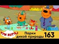 Три кота | Серия 163 | Парки дикой природы | Мультфильмы для детей