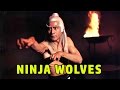 Wu Tang Collection - Ninja Wolves