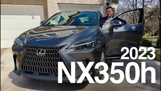 Lexus NX350h  An Actual Owner's Review