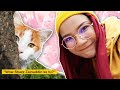 FAN MEETING!! *versi kucing* | Ep.4 Final Episode Yayy Sabah | #89 Hidup Shazz
