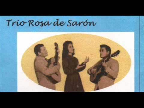 trio rosa de saron-el trono blanco.wmv