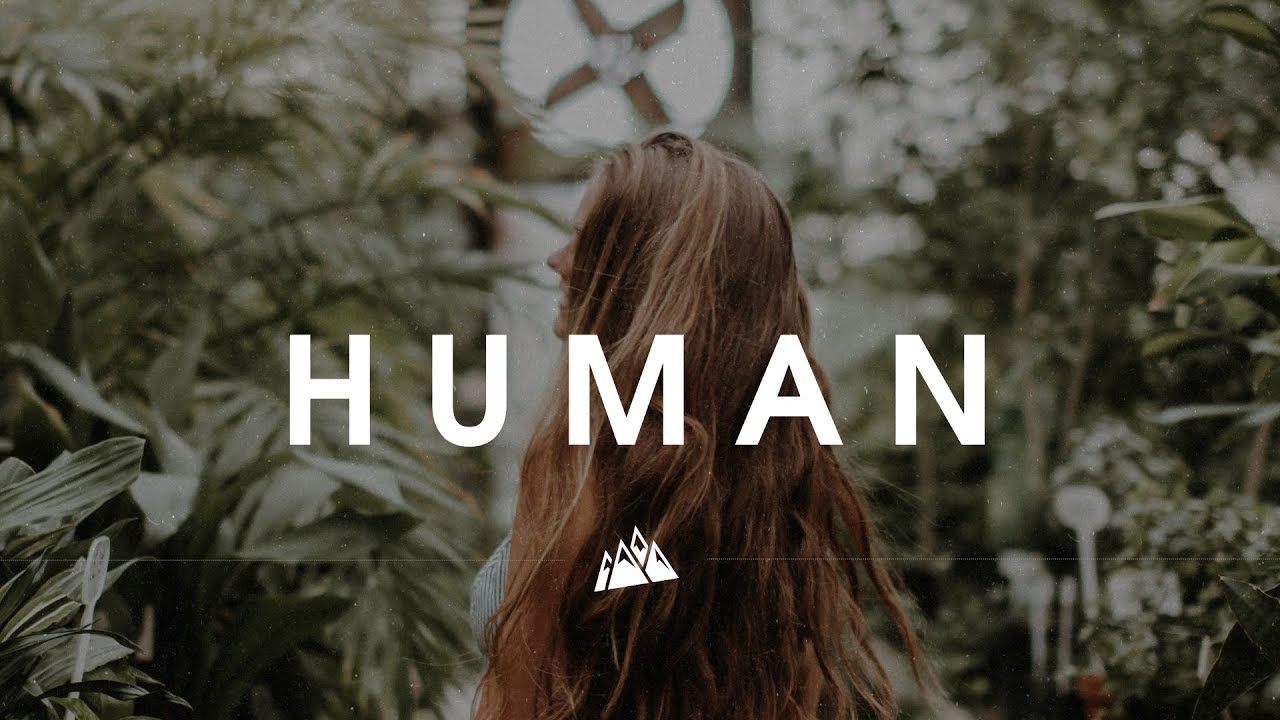 *Sold* DJ Snake x Dua Lipa Type Beat | Pop | Title: Human | Prod. By Layird Music x Alex Collins