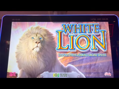 WILD TIGER JACKPOT - FREE SPIN | DoubleU