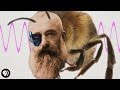 Claude Monet's Unique Vision and Artistic Journey