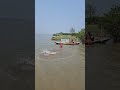 catch a big fish by castnet enjoy this videos. #shorts #fishing #fish #isshingvideo #villagelife