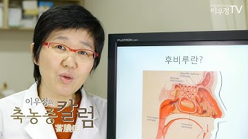 [축농증학교] 목젖 뒷부분의 가래(후비루)와 약  - 이우정 원장