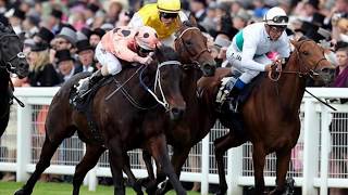 Black Caviar - Royal Ascot, Start 22 The Full Story