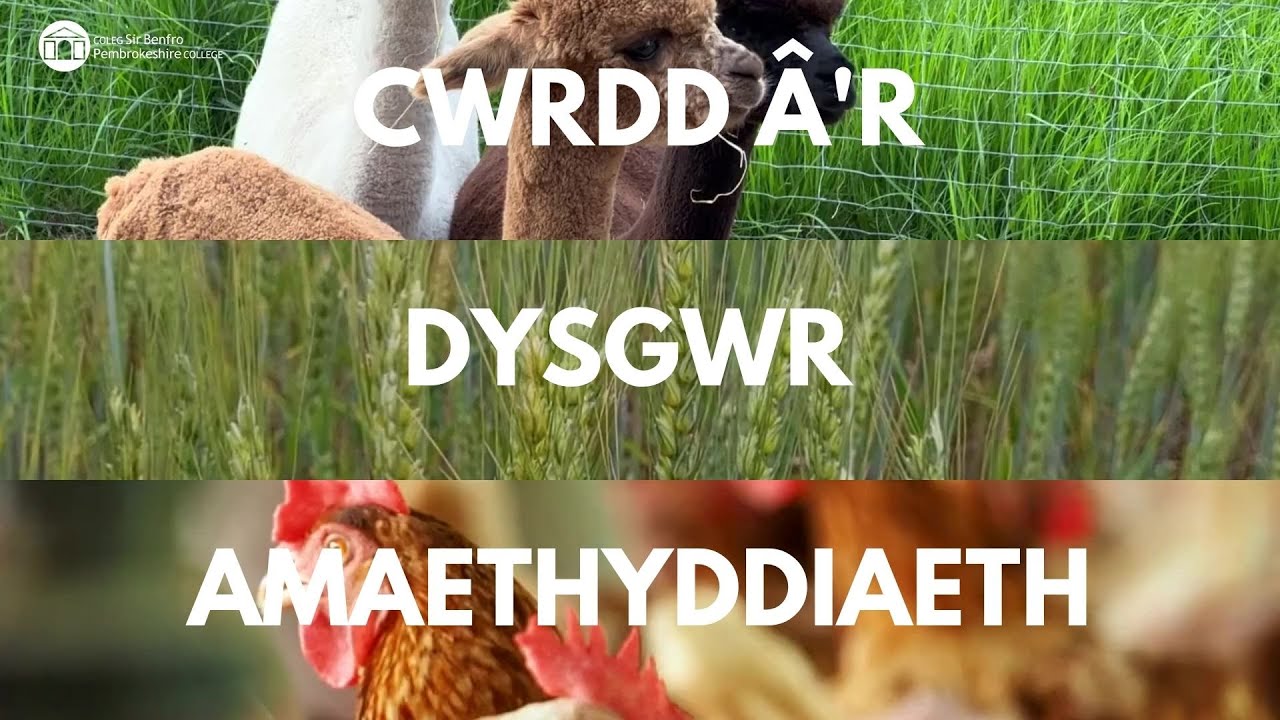Cwrdd â'r Dysgwr Amaethyddiaeth
