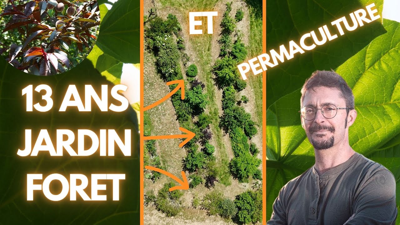 Mathieu Foudral mise sur le Jardin-Forêt et la Permaculture : visite et retour d’expérience