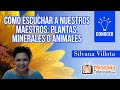 Cómo escuchar a nuestros Maestros: plantas, minerales o animales, por Silvana Villota