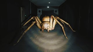 HUNTSMAN | CETTE ARAIGNÉE GÉANTE D'AUSTRALIE EST TERRIFIANTE !!!