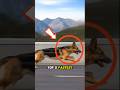 The Last Animal Will Blow Your Mind 🤯 #animals #fastestanimals #shorts
