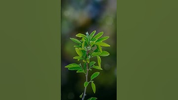 Essential Color Correction Tricks with New Batch Photo Pro 7.0