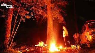Ferguson Campground - Ferguson Track - Goulburn SF - Victoria