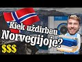 🇳🇴 Kiek užsidirbau? 💲 Kaip  vyksta tas darbas iš tikrųjų? Darbas NORVEGIJOJE 2