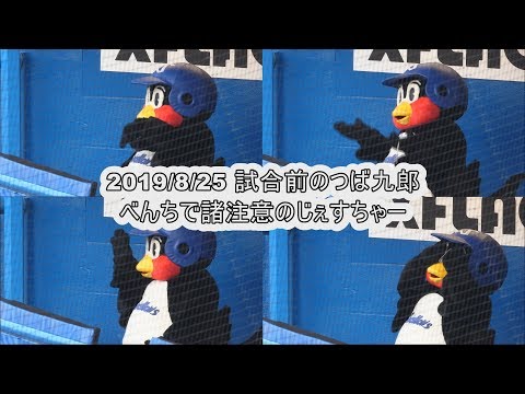 2019/8/25　つば九郎　ベンチに座り　諸注意をじぇすちゃー