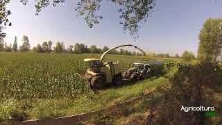 Agricoltura HD - Copeta Trinciatura con Krone 1100