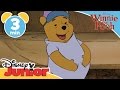 The Mini Adventures of Winnie the Pooh | Pooh's Tummy  | Disney Junior UK