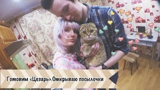 Готовим салат "ЦЕЗАРЬ"/Распаковка посылок и писем Готовим салат "ЦЕЗАРЬ"/Распаковка посылок и писем