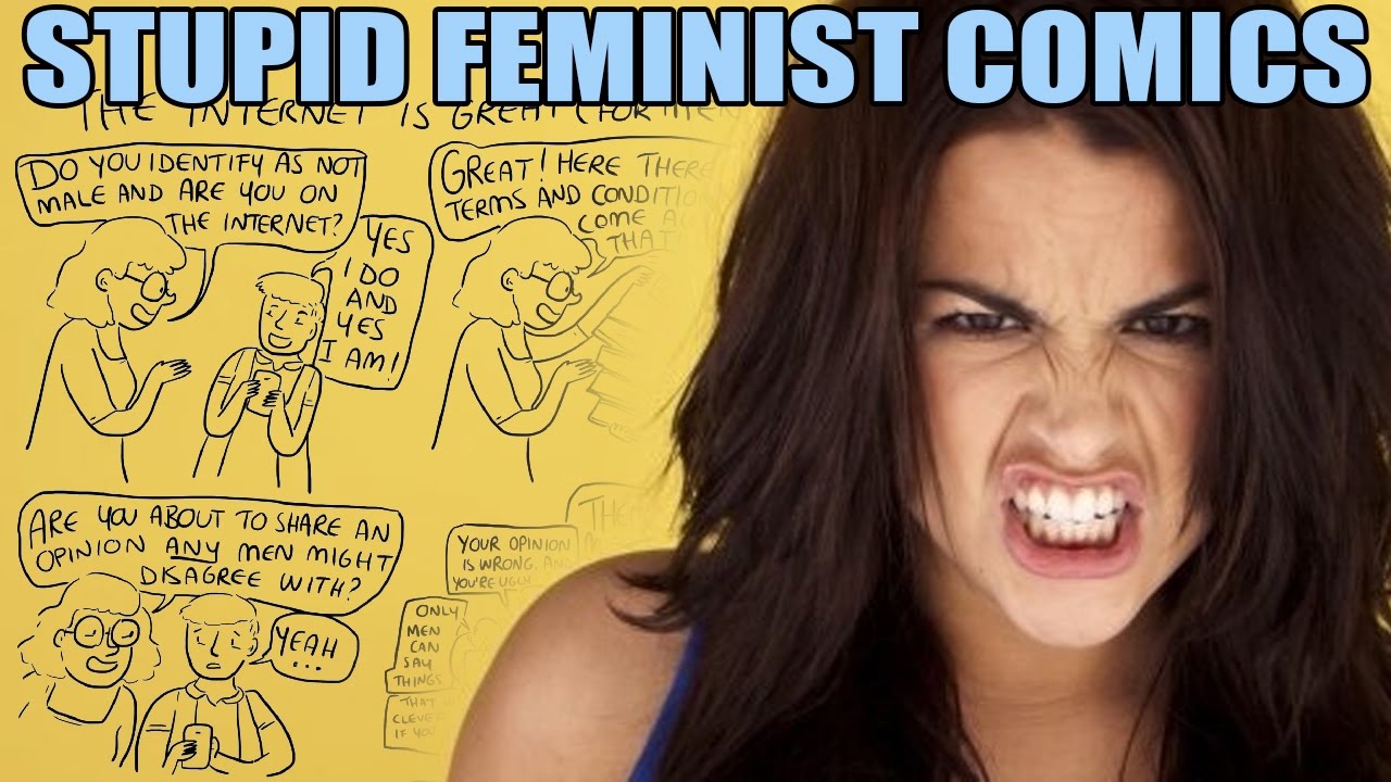 rational expressions UNBELIEVABLY STUPID FEMINIST COMIC